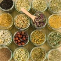 Homeopathy remedies natural medicine