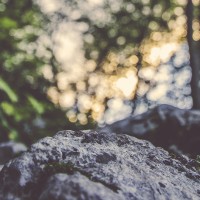 close up of a rock