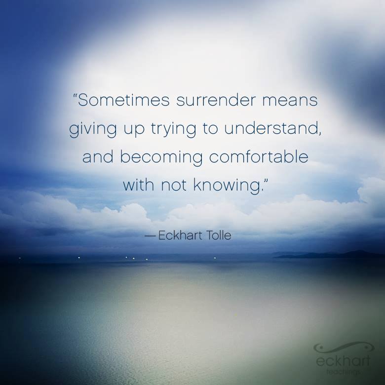 Sometimes surrender means giving up trying to understand.. - DRS. LILA ...