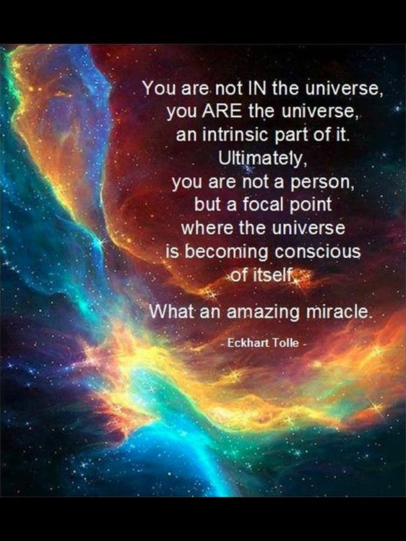 You Are The Universe - DRS. LILA & SAMUEL FLAGLER